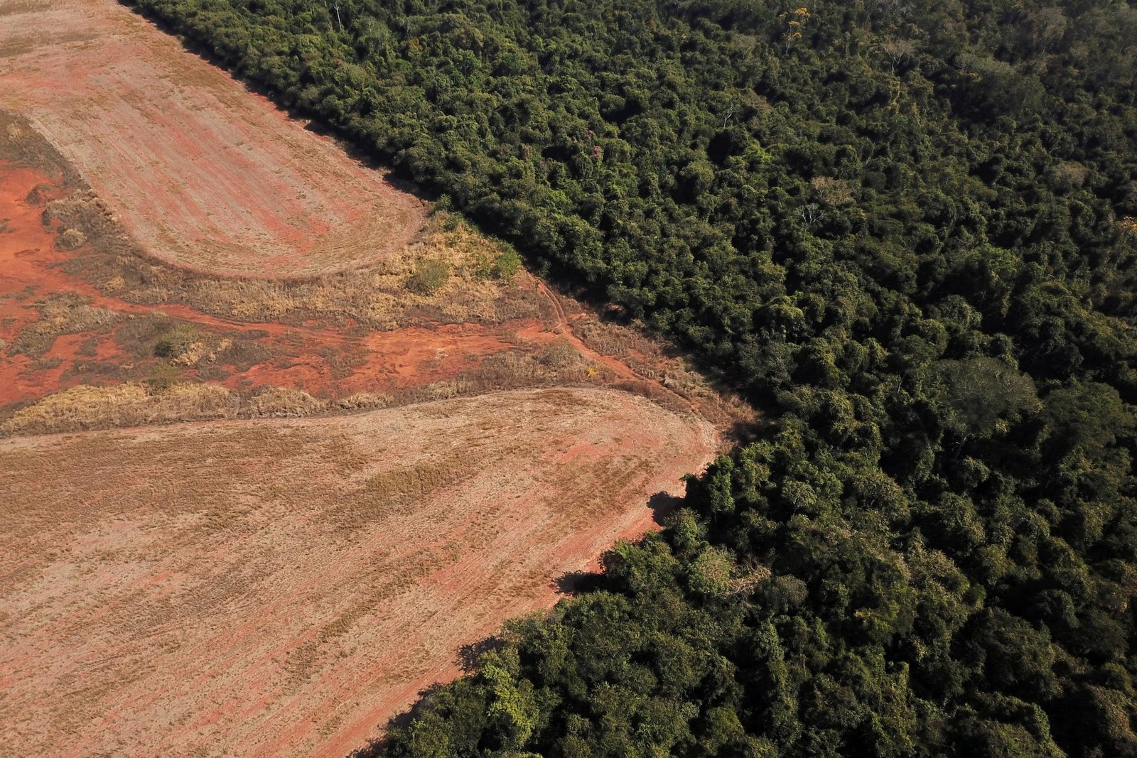 picture of deforestation from the air. photo by Amanda Perobelli / REUTERS