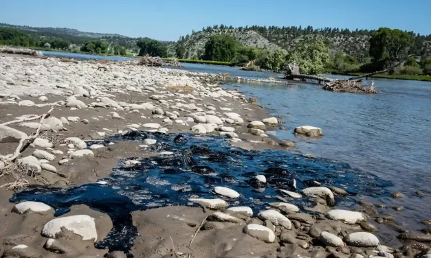 EPA begins cleaning up Yellowstone River from toxic chemicals