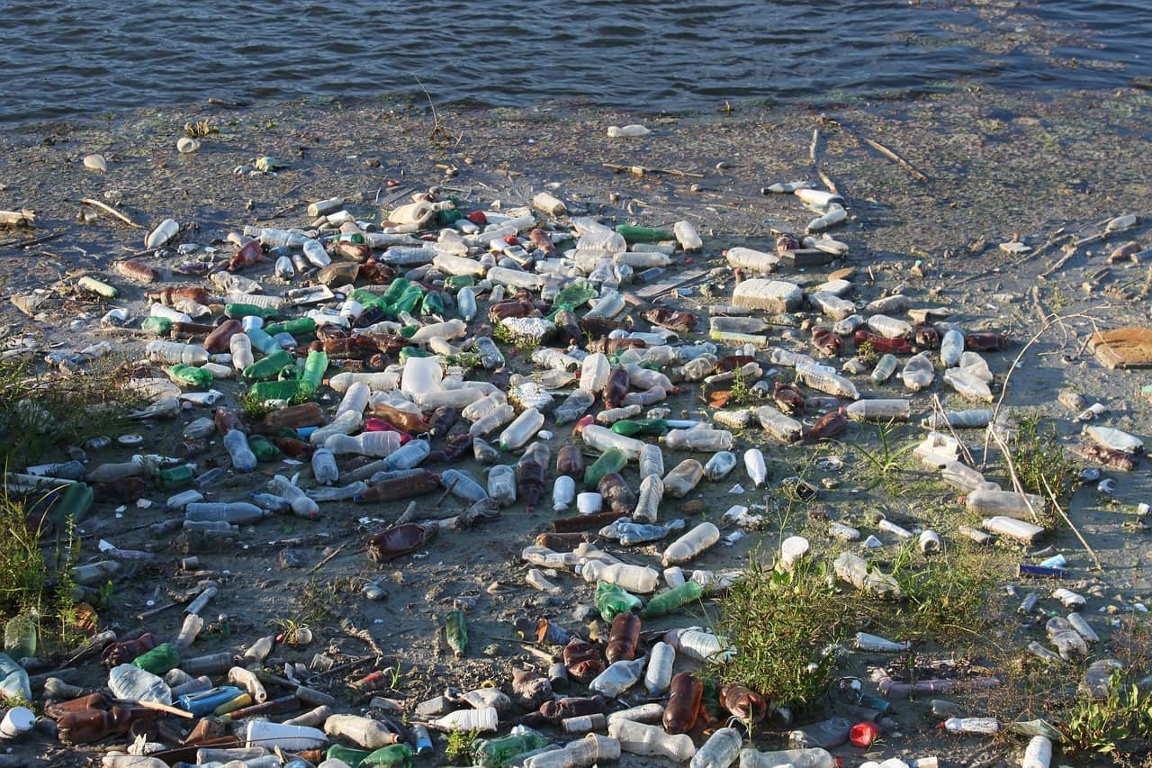 plastic pollution on the beach 