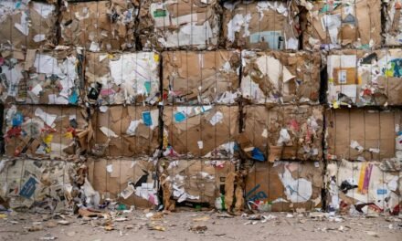 Germany Achieves Record Low Household Waste Levels in 20 Years
<span class="bsf-rt-reading-time"><span class="bsf-rt-display-label" prefix=""></span> <span class="bsf-rt-display-time" reading_time="3"></span> <span class="bsf-rt-display-postfix" postfix="Min Read"></span></span><!-- .bsf-rt-reading-time -->