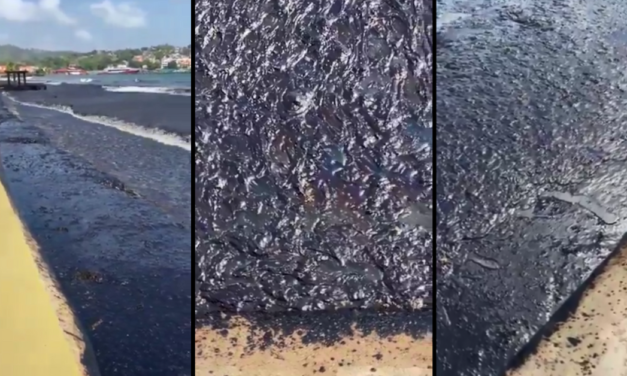 Trinidad and Tobago Might Declare National Emergency as Oil Spill Hits the Coast